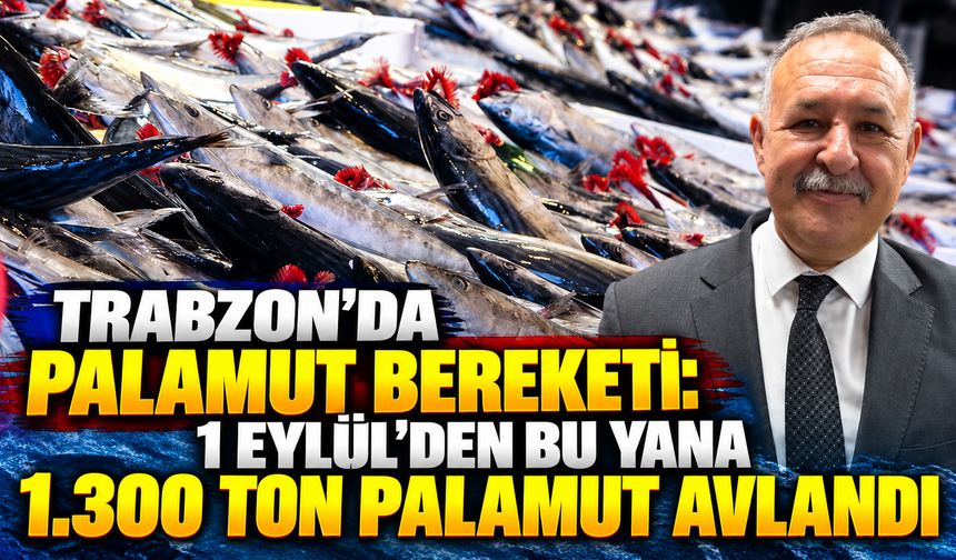 Trabzon'da palamut bereketi: 1 Eylül'den bu yana bin 300 ton palamut avlandı