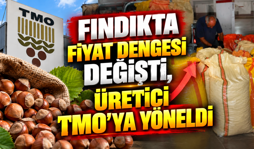 Fındıkta fiyat dengesi değişti, üretici TMO’ya yöneldi