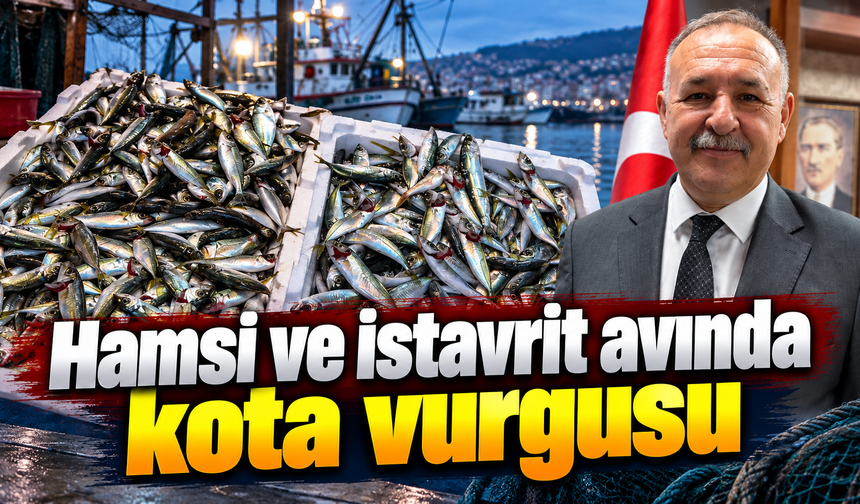 Hamsi ve istavrit avında kota vurgusu