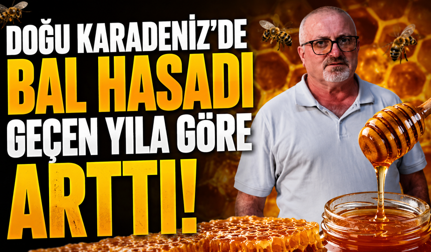 Doğu Karadeniz'de bal hasadı geçen yıla göre arttı