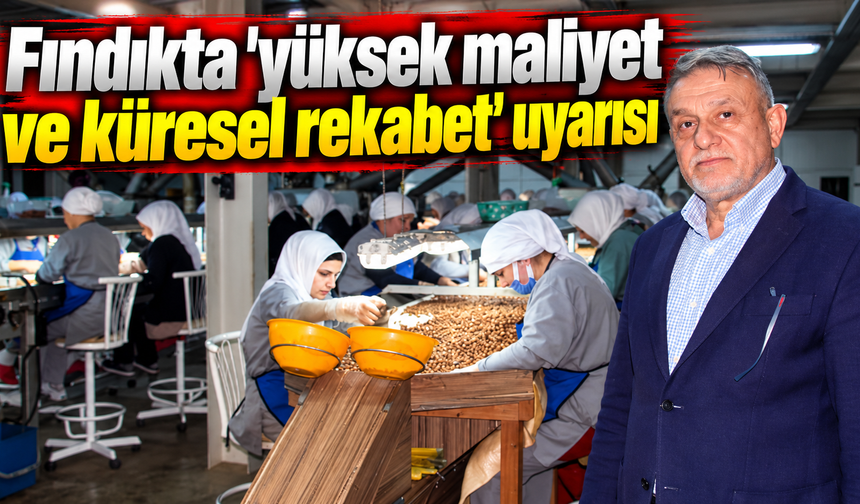Fındıkta 'yüksek maliyet ve küresel rekabet' uyarısı