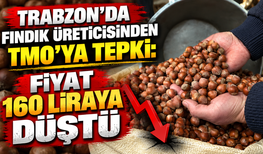 Trabzon'da fındık üreticisinden TMO'ya tepki: Fiyat 160 liraya düştü