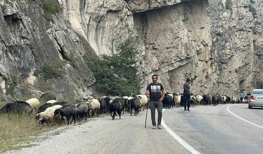 Artvin'de yaylalardan dönüş başladı