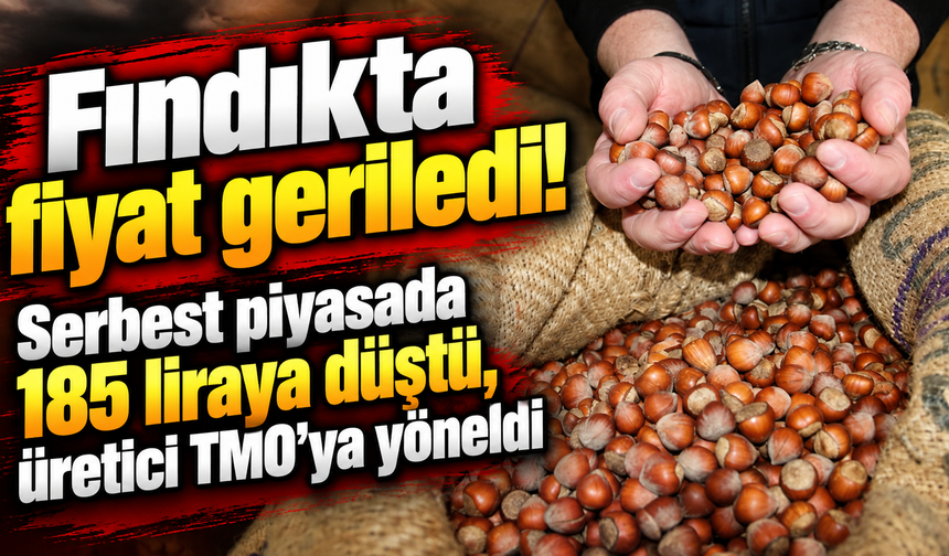 Fındıkta fiyat geriledi! Serbest piyasada 185 liraya düştü, üretici TMO’ya yöneldi
