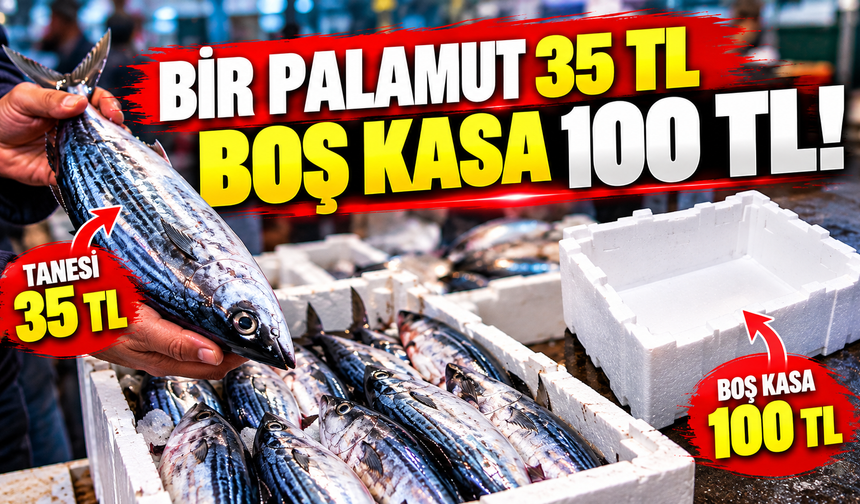 “Bir Palamut 35 TL, Boş Kasa 100 TL!”