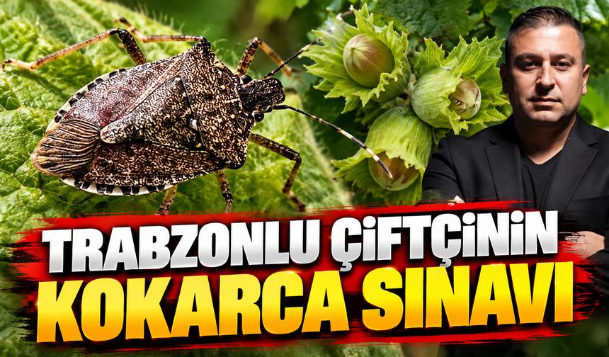 TRABZONLU ÇİFTÇİNİN KOKARCA SINAVI