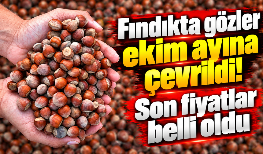 Fındıkta gözler ekim ayına çevrildi! Son fiyatlar belli oldu