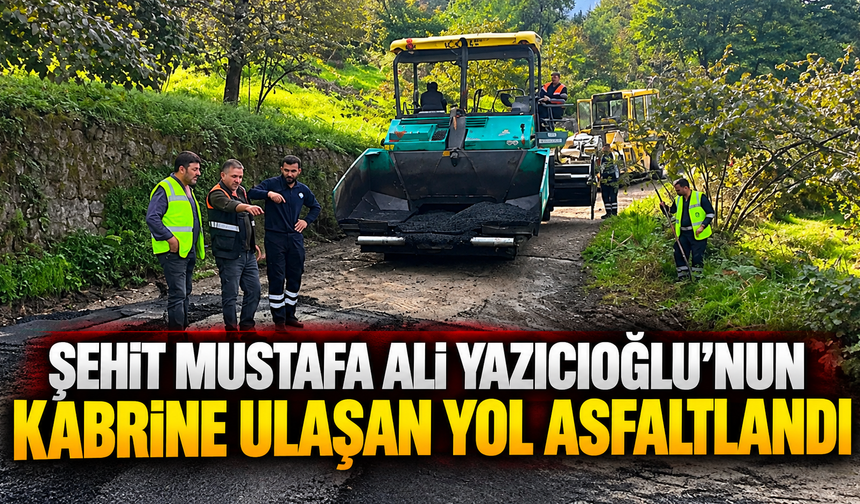 Şehit Mustafa Ali Yazıcıoğlu’nun Kabrine Ulaşan Yol Asfaltlandı