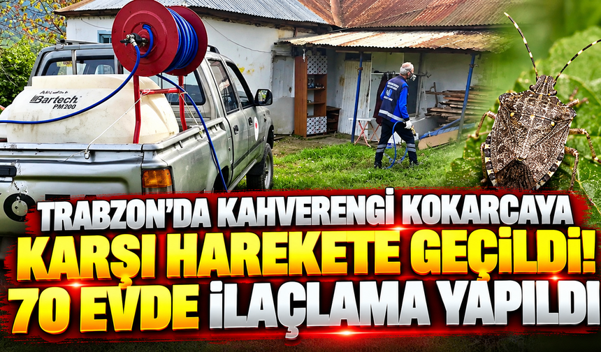 Trabzon'da kahverengi kokarcaya karşı harekete geçildi! 70 evde ilaçlama yapıldı