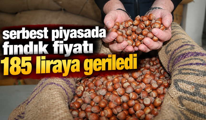 Serbest piyasada fındık fiyatı 185 liraya geriledi