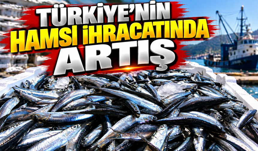 Türkiye'nin hamsi ihracatında artış