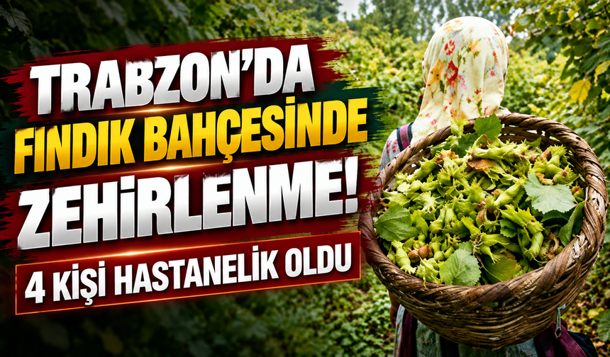 Trabzon’da fındık bahçesinde zehirlenme! 4 kişi hastanelik oldu