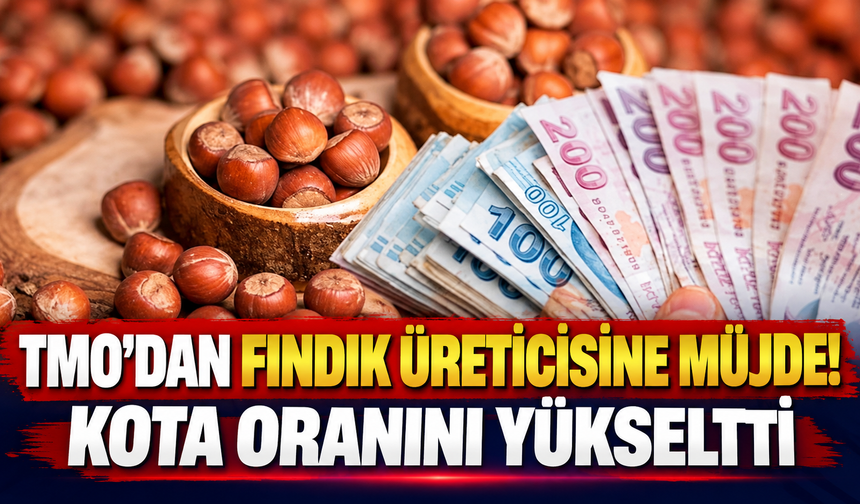 TMO’dan fındık üreticisine müjde! Kota oranını yükseltti