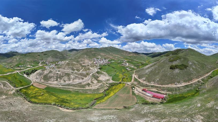 Gümüşhane'de sarı çiçeklerin büyülü dansı başladı