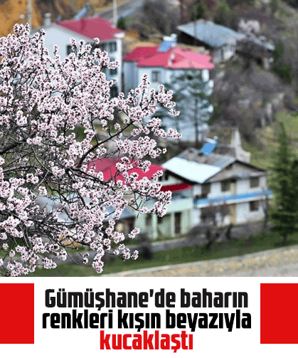Gümüşhane'de baharın renkleri kışın beyazıyla kucaklaştı