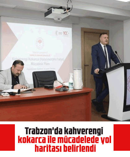 Trabzon'da kahverengi kokarca ile mücadelede yol haritası belirlendi