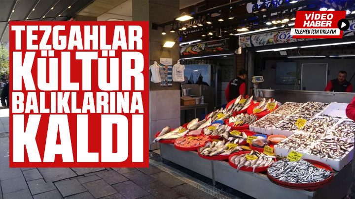 Tezgahlar kültür balıklarına kaldı