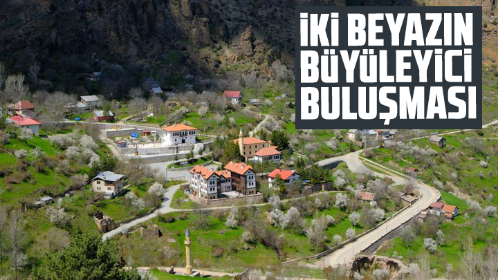 Gümüşhane'de iki beyazın büyüleyici buluşması
