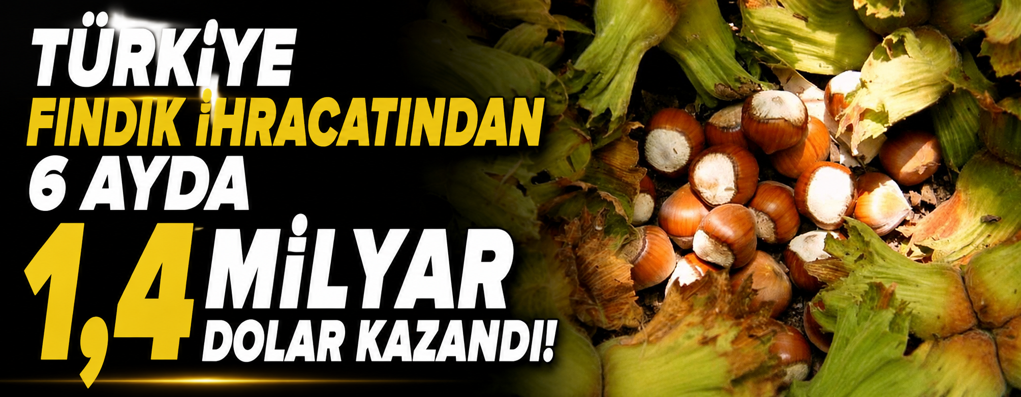 Türkiye fındık ihracatından 6 ayda 1,4 milyar dolar kazandı