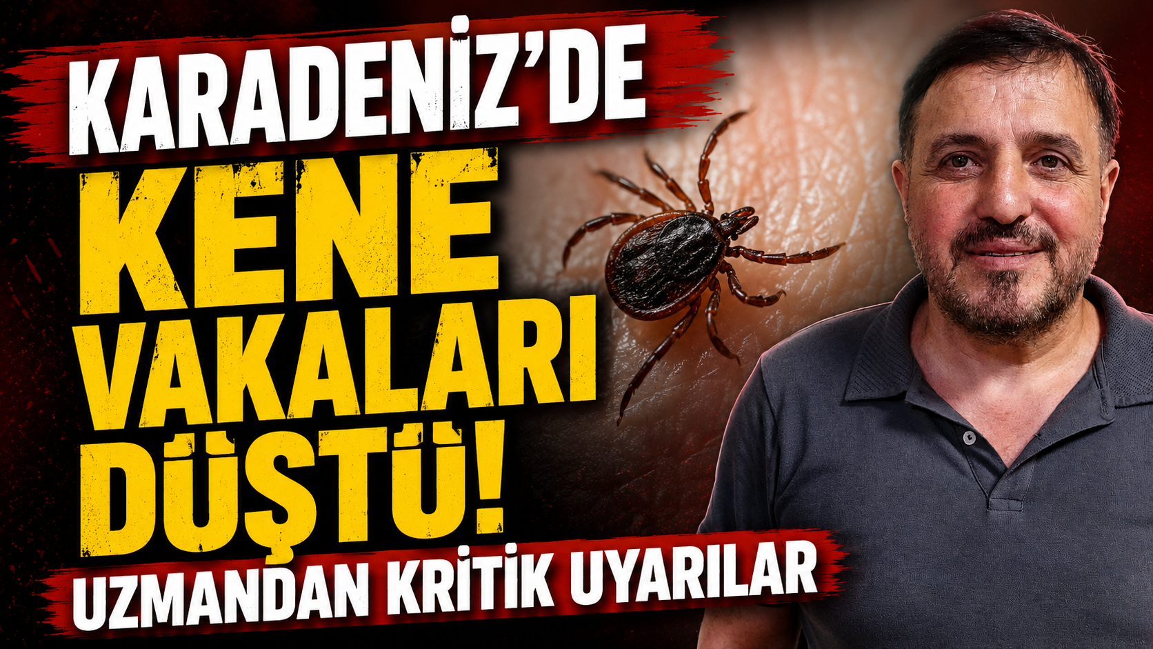 Karadeniz'de Kene Vakaları Düştü! Uzmandan Kritik Uyarılar