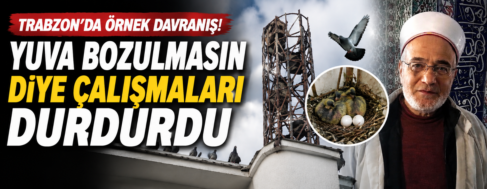 Trabzon'da örnek davranış! Yuva bozulmasın diye çalışmaları durdurdu