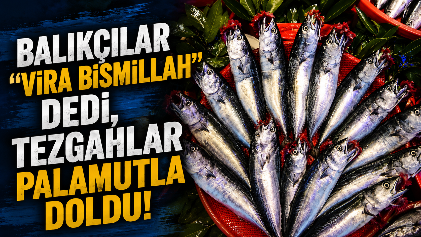 Balıkçılar "Vira Bismillah" dedi, tezgahlar palamutla doldu