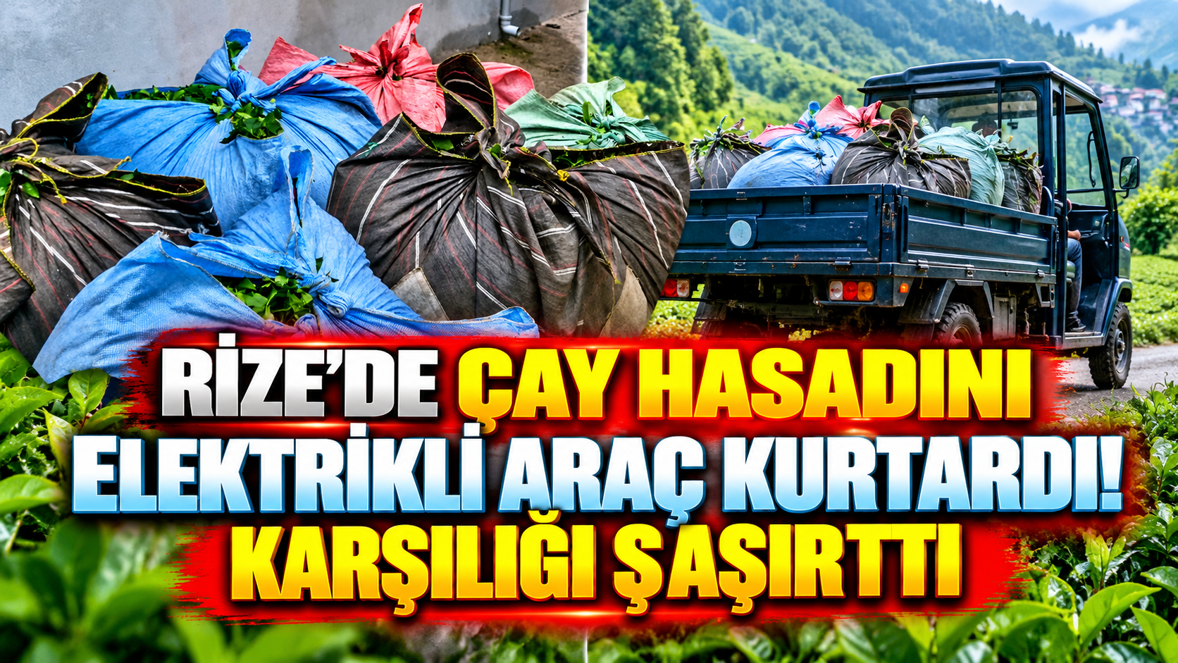Rize’de çay hasadını elektrikli araç kurtardı! Karşılığı şaşırttı