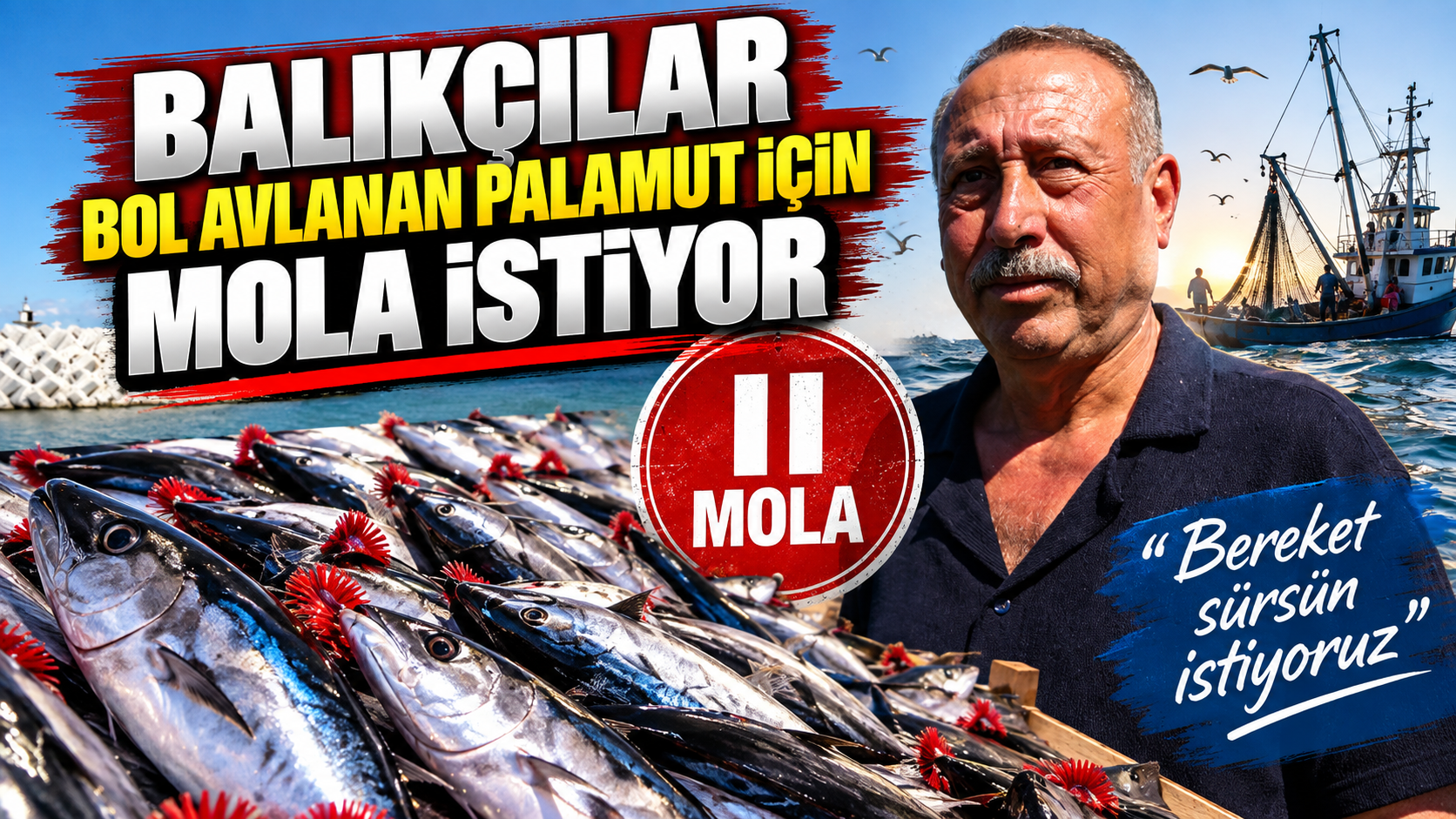 Balıkçılar bol avlanan palamut için mola istiyor