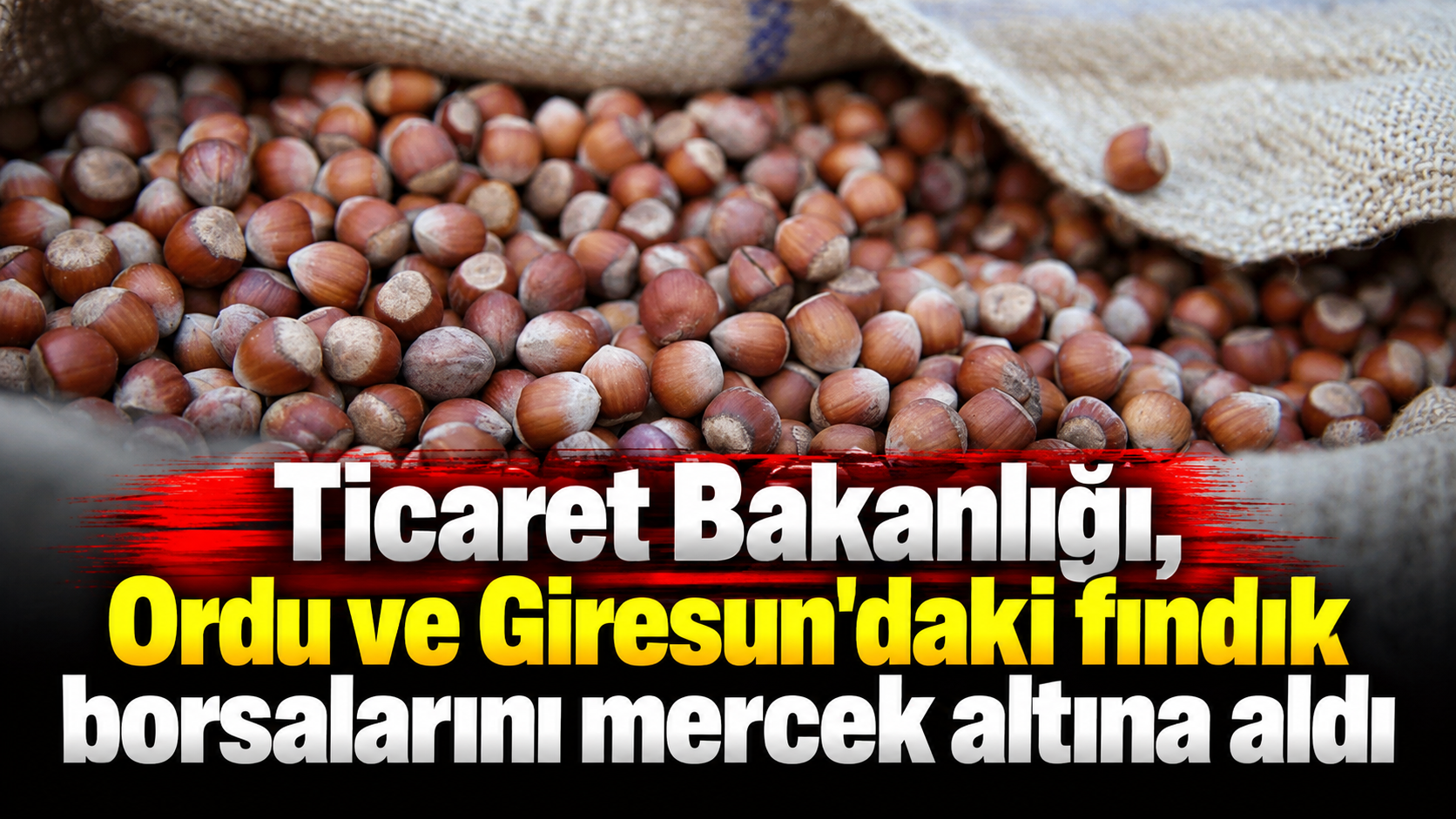 Ticaret Bakanlığı, Ordu ve Giresun'daki fındık borsalarını mercek altına aldı