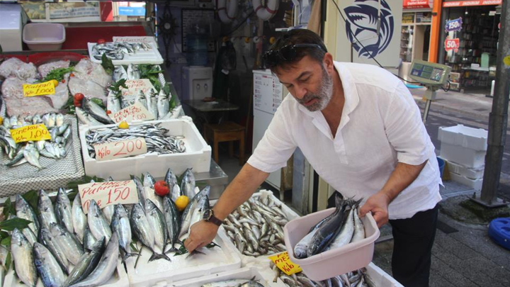 Palamut bolluğu tezgahlara yansıdı: 600 gram balık 100 lira